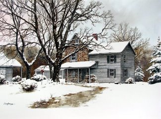 Winter Nests